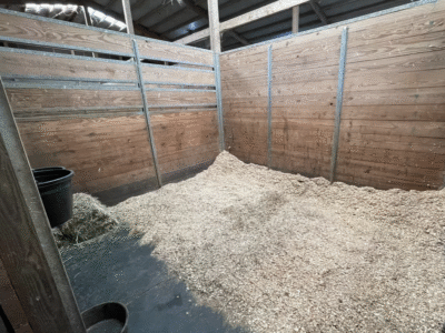 Sohlay Sporthorses